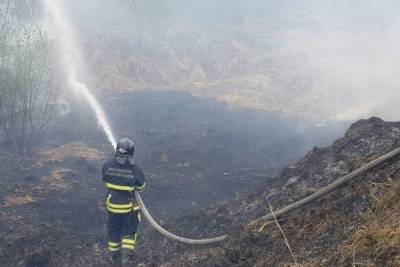 Пожар в районе Териберки локализован