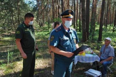 Противопожарные рейды проходят в лесах Серпухова