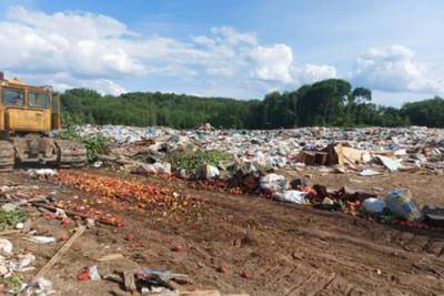 Более 2 тонн овощей, фруктов и ягод уничтожили на полигоне под Себежем