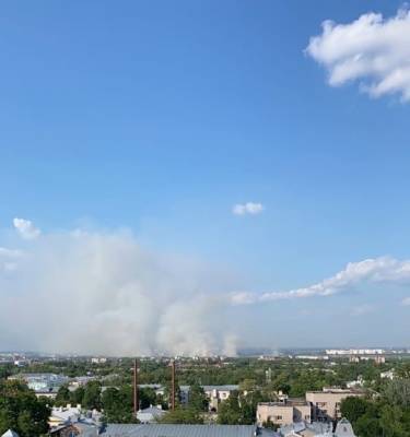 Горящие поля возле трассы М-11 «Нева» окутали небо густым дымом — видео