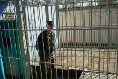 Амнистия в Украине: стало известно, кто сможет получить освобождение от наказани