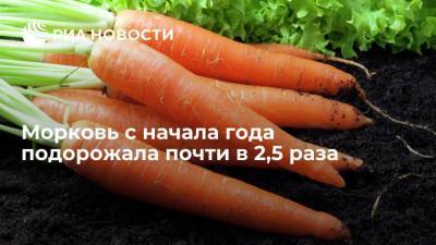 Росстат сообщил, что морковь в России с начала года подорожала почти в 2,5 раза