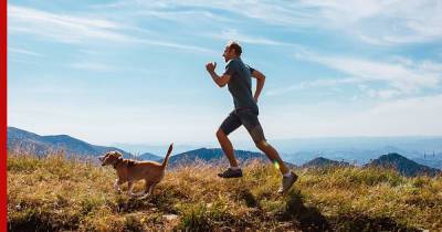 Названы лучшие собаки-компаньоны для любителей пробежек на свежем воздухе