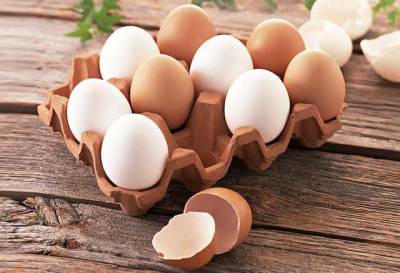 Светлана Литвин - В Украине яйца могут взлететь в цене почти вдвое: когда и сколько заплатим - novostiua.news - Украина