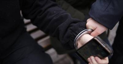 Ульяновский рецидивист избил незнакомку и отнял у неё дорогой телефон