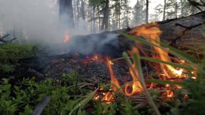 Спасатели предупредили о высокой пожароопасности в Волгоградской области