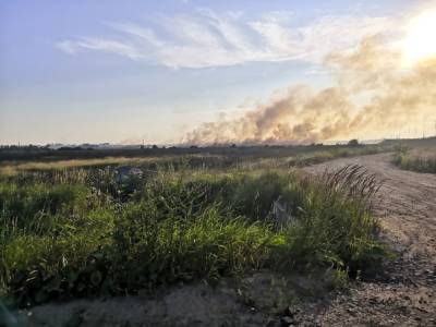 Дым от горящих полей постепенно накрывает один район Петербурга за другим