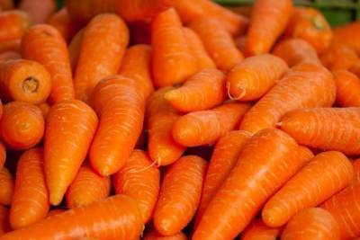 Морковь подорожала в России в 2,5 раза за полгода