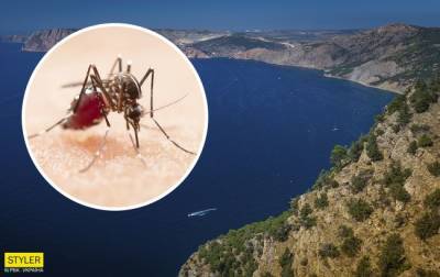 В Крыму, вслед за потопом, — тучи комаров: «апокалипсис стартовал» (ВИДЕО)