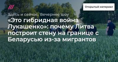 «Это гибридная война Лукашенко»: почему Литва построит стену на границе с Беларусью из-за мигрантов