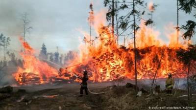 Минобороны будет бороться с вызванными аномальной жарой лесными пожарами