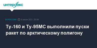 Ту-160 и Ту-95МС выполнили пуски ракет по арктическому полигону