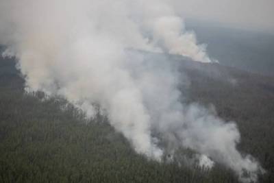 В Якутии площадь природных пожаров составила свыше 855 тысяч гектаров