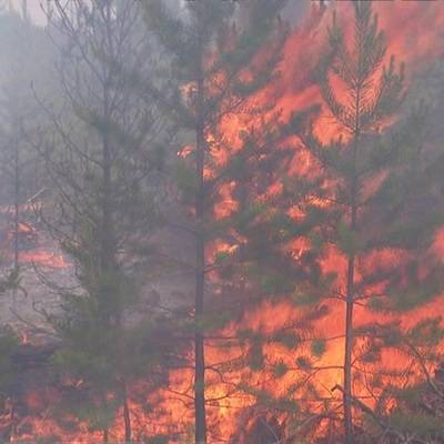 В Иркутской области вызовут искусственные осадки для тушения лесных пожаров