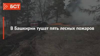 В Башкирии тушат пять лесных пожаров