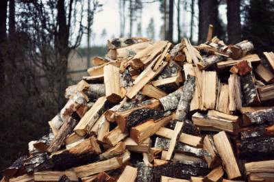 Житель Вороновского района вырубил 115 «живых» деревьев. Его задержали сотрудники Лидской инспекции, когда он вывозил древесину