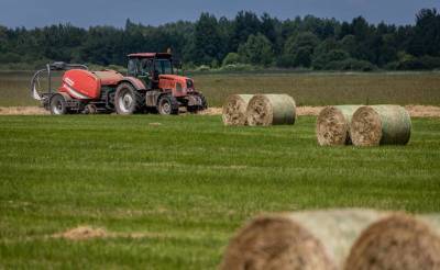 Больше 500 тысяч тонн сена заготовлено в Беларуси