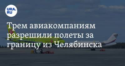 Трем авиакомпаниям разрешили полеты за границу из Челябинска