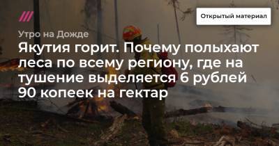 Якутия горит. Почему полыхают леса по всему региону, где на тушение выделяется 6 рублей 90 копеек на гектар