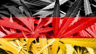 В Германии разрешили продавать марихуану в аптеках