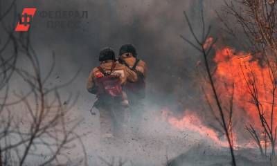 Число лесных пожаров в Тюменской области выросло до 14