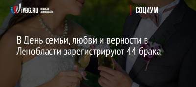 В День семьи, любви и верности в Ленобласти зарегистрируют 44 брака