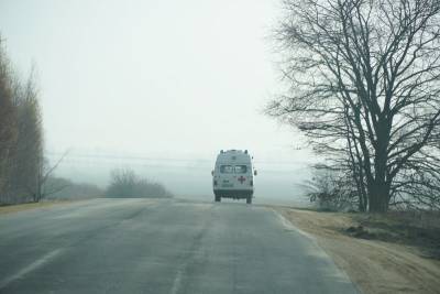 Двое детей и водитель пострадали в лобовом столкновении «Опеля» с грузовиком в Воронежской области