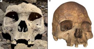 В Африке обнаружили модифицированные человеческие черепа 500-летней давности