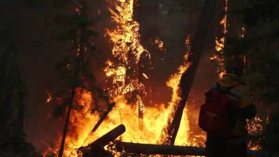 5-я студия. Виноваты небывалые жара и засуха: эксперт о лесных пожарах в Якутии