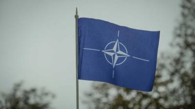 Экс-депутат Рады объяснил истерику Зеленского из-за НАТО