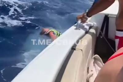 Украинка со всей силы врезалась головой в борт лодки в Египте: опубликовано видео