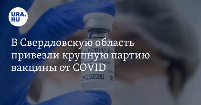 В Свердловскую область привезли крупную партию вакцины от COVID