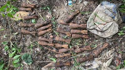 В Кировграде сотрудники Росгвардии нашли 27 минометных мин