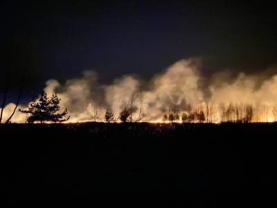 В Тверской области утвержден перечень территорий, которым угрожают лесные пожары