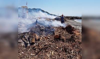 Арендатор сочинского пляжа сжег мусор вместо того, чтобы его убрать