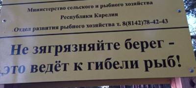 В ответ на жалобы жителей Карелии о загрязнении озера Минсельхоз установил на берегу таблички с ошибками