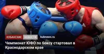 Чемпионат ЮФО по боксу стартовал в Краснодарском крае