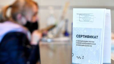 В Госдуме назвали условия признания коронавирусных сертификатов ЕС