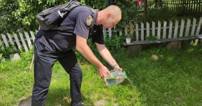 В Житомирской области полицейские похвастались уничтожением 3,5 литров самогона 71-летней пенсионерки (ФОТО)