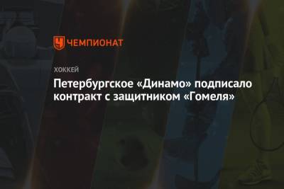 Петербургское «Динамо» подписало контракт с защитником «Гомеля»