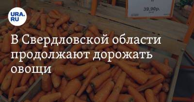 В Свердловской области продолжают дорожать овощи. Не помог даже гнев Куйвашева