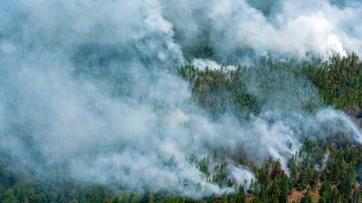 Самолет упал на Ямале при наблюдении за лесными пожарами
