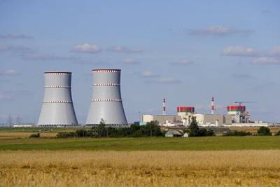 Украина поддержала Литву и отказалась закупать электроэнергию Белорусской АЭС
