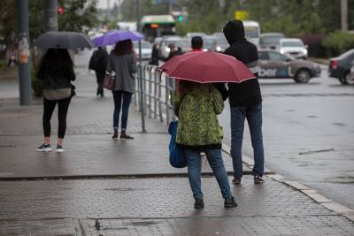 В выходные в Свердловской области снова пройдут сильные дожди