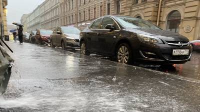Грозы и порывистый ветер ожидаются в Петербурге 9 июля