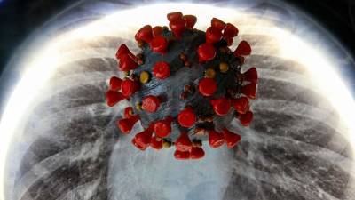Эксперт объяснил возможность появления «суперштамма» коронавируса