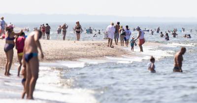 В Балтийском море на две недели раньше зацвели токсичные синезелёные водоросли