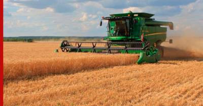 Во ВШЭ оценили пользу контрсанкций для сельского хозяйства России