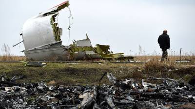 В Нидерландах слушания по делу о крушении MH17 приостановили до 6 сентября