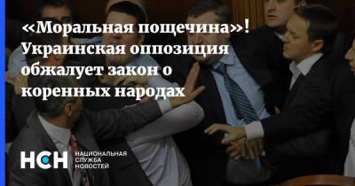 «Моральная пощечина»! Украинская оппозиция обжалует закон о коренных народах